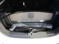 Volkswagen Touran 1.5 TSI Move 7-Sitzer Panorama Navi Weiß - thumbnail 12