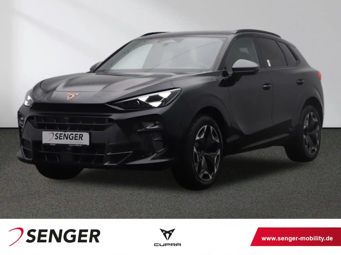 CUPRA Terramar VZ 2.0 TSI DSG 4WD Digitales Cockpit Negro - 1