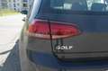 Volkswagen Golf 1.6 TDI 115 CV 5p. Business BlueMotion Technology Grijs - thumbnail 31