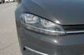 Volkswagen Golf 1.6 TDI 115 CV 5p. Business BlueMotion Technology Grijs - thumbnail 29