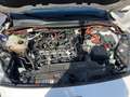 Ford Kuga ST-Line X 2.5 Duratec PHEV *PANO*iACC*20ZOLL* Weiß - thumbnail 20
