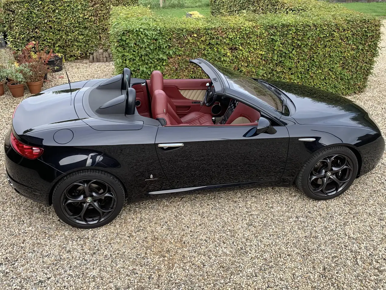Alfa Romeo Spider