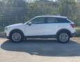 Audi Q2 Q2 Design TETTO APRIBILE -PREZZO REALE- Bianco - thumbnail 6