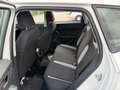 SEAT Ateca Reference Weiß - thumbnail 14