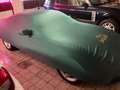 Jaguar XK8 XK8 Coupe 4.0 Verde - thumbnail 6