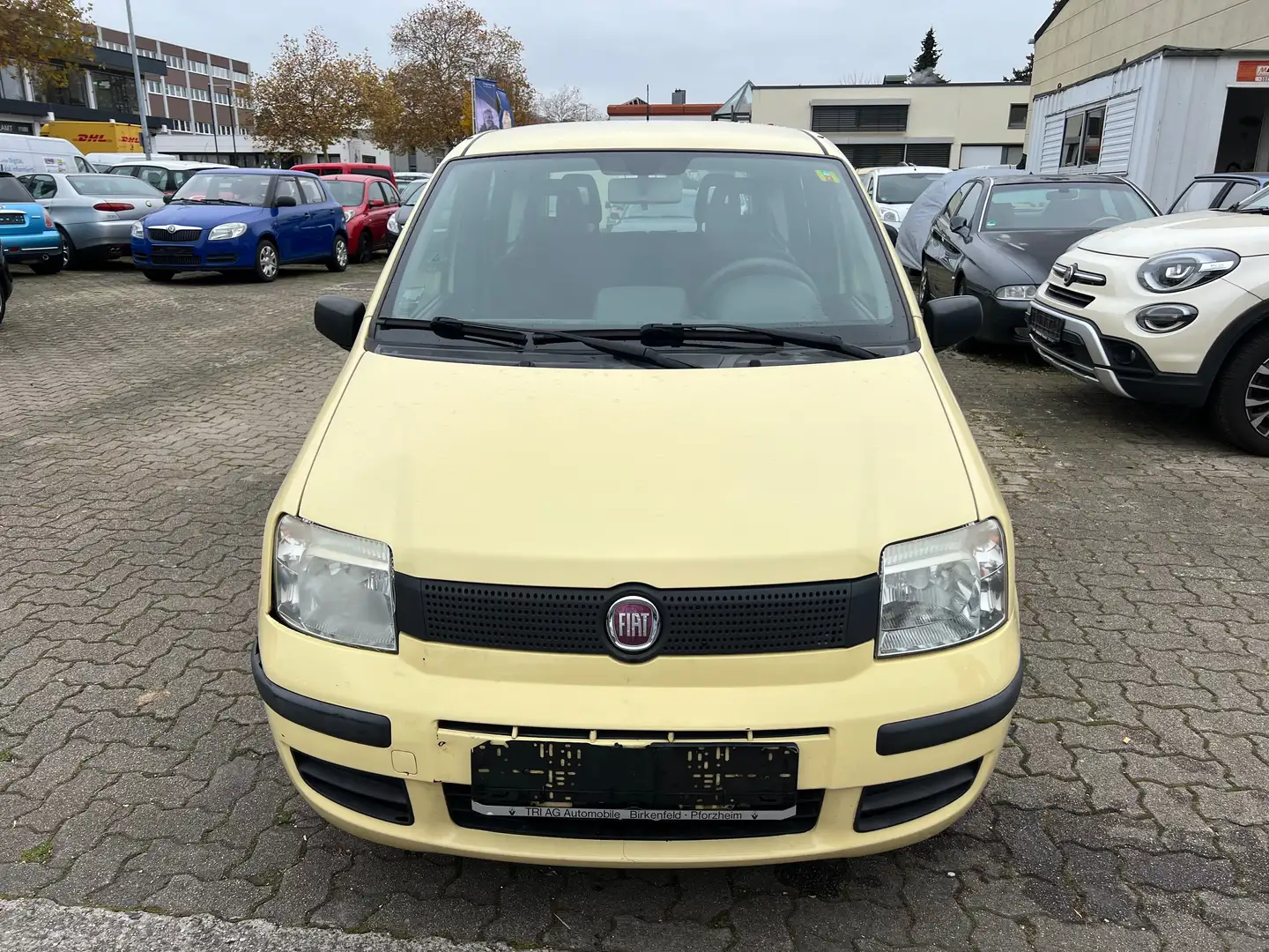 Fiat Panda 1.1 8V Active Jaune - 1