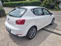 SEAT Ibiza 5p 1.2 Business High 70cv - thumbnail 6