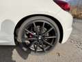 Volkswagen Scirocco 1.4 TSI Sport 160 PS Sky Line Weiß - thumbnail 8