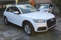 Audi Q5 Advanced 50 TFSI E quattro-ultra Blanco - thumbnail 4