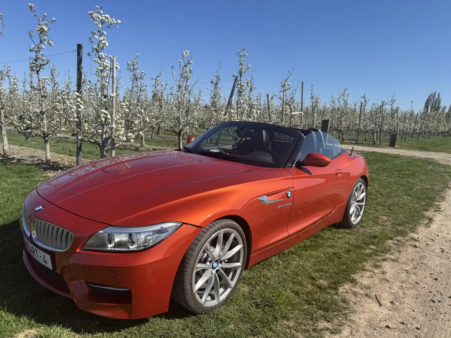 BMW Z4 sDrive35is Sport-Aut. DKG Oranje - 1