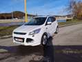 Ford Kuga Platinium Sport 4*4/SUV/Crossovers Blanc - thumbnail 1
