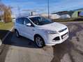 Ford Kuga Platinium Sport 4*4/SUV/Crossovers Blanc - thumbnail 6