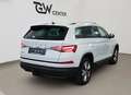 Skoda Kodiaq 2,0 TDI DSG Style Sport ACC AHK Travel Assist High Weiß - thumbnail 8