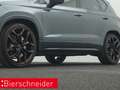 CUPRA Ateca 2.0 TSI DSG 4Dr. Limited Edition PANO eHECK BEATS Grau - thumbnail 33