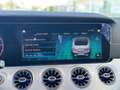 Mercedes-Benz E 220 Cabrio 220d 9G-Tronic Plateado - thumbnail 31