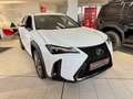 Lexus UX 300e UX 300h F Sport Design ACC FLA SpurH LED Alb - thumbnail 5