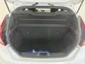 Ford Fiesta 1.0 80CV 5 porte Black & White Edition Blanc - thumbnail 17