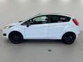 Ford Fiesta 1.0 80CV 5 porte Black & White Edition Blanc - thumbnail 8
