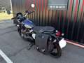 Triumph Street Scrambler Bleu - thumbnail 7