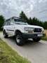 Toyota Land Cruiser Toyota Land Cruiser HDJ 80 1993r 24v Manual - thumbnail 1