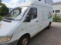 Mercedes-Benz Sprinter 211 CDI Sprinter 211 CDI 902.611 Blanc - thumbnail 2