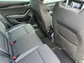 Skoda Octavia 2.0 TDI DSG Aktion Selection LED Kamera Navi* SHZ Gris - thumbnail 6