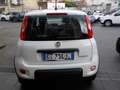 Fiat Panda MY25 - 1.0 FireFly Hybrid ICON - thumbnail 14