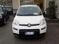 Fiat Panda MY25 - 1.0 FireFly Hybrid ICON - thumbnail 1