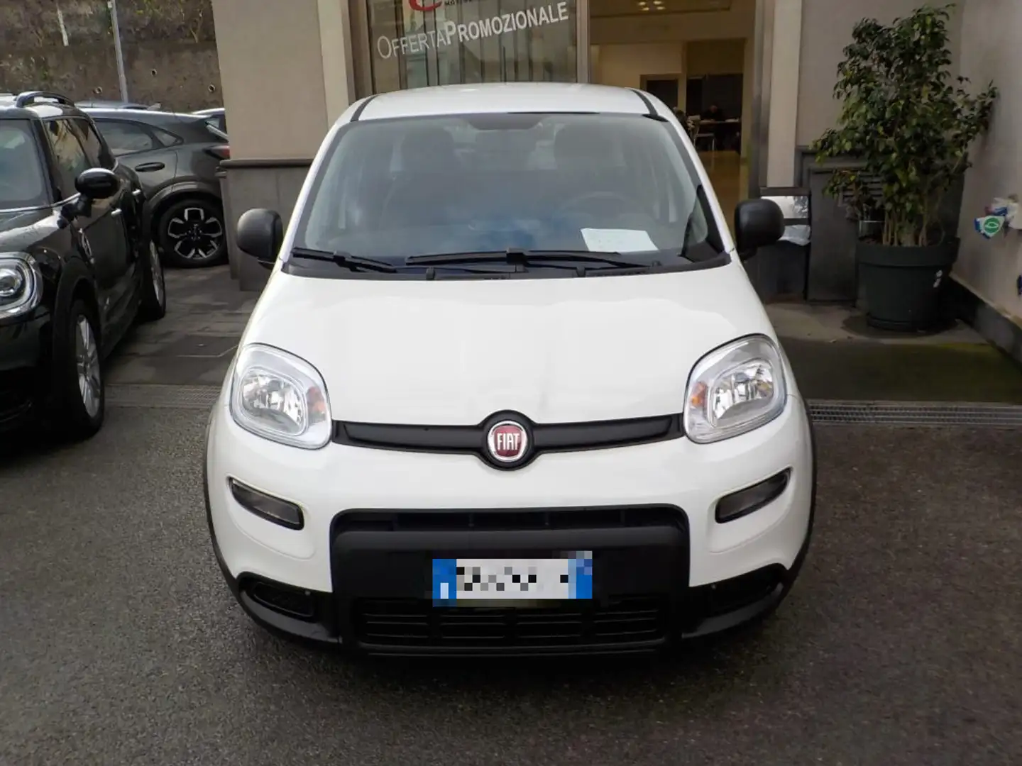 Fiat Panda MY25 - 1.0 FireFly Hybrid ICON - 1