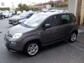 Fiat Panda MY25 - 1.0 FireFly Hybrid ICON - thumbnail 2