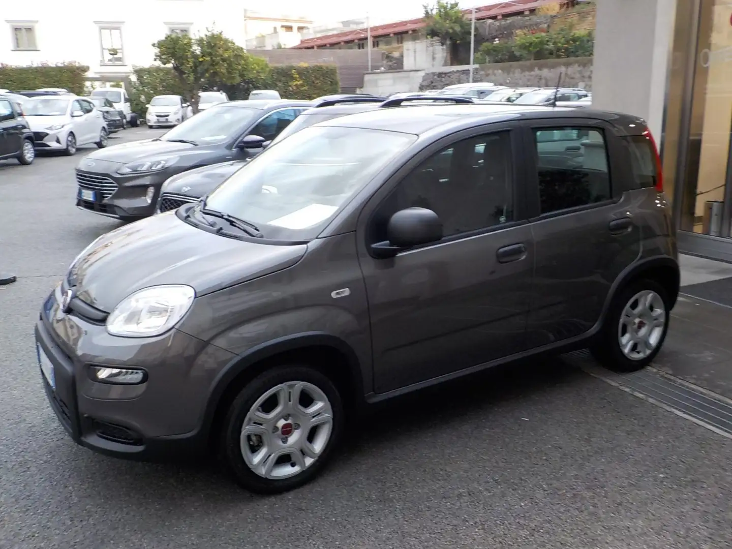 Fiat Panda MY25 - 1.0 FireFly Hybrid ICON - 2