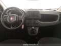 Fiat Panda Panda 1.0 FireFly S&S Hybrid Icon Rood - thumbnail 9