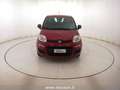 Fiat Panda Panda 1.0 FireFly S&S Hybrid Icon Rood - thumbnail 2
