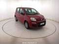 Fiat Panda Panda 1.0 FireFly S&S Hybrid Icon Rood - thumbnail 3