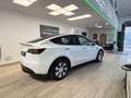 Tesla Model Y Performance AWD Weiß - thumbnail 11