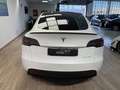 Tesla Model Y Performance AWD Weiß - thumbnail 9