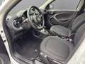 smart forFour smart forfour passion AutomatikSHZ 1.Hand PDC 90PS Weiß - thumbnail 9