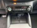 Ford Kuga Titanium PHEV 360° IACC LED Tageszulassung Schwarz - thumbnail 22