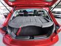 SEAT Ibiza FR 1.0 TSI 116 PS - Klimaaut.,SHZ,Panorama Rood - thumbnail 15