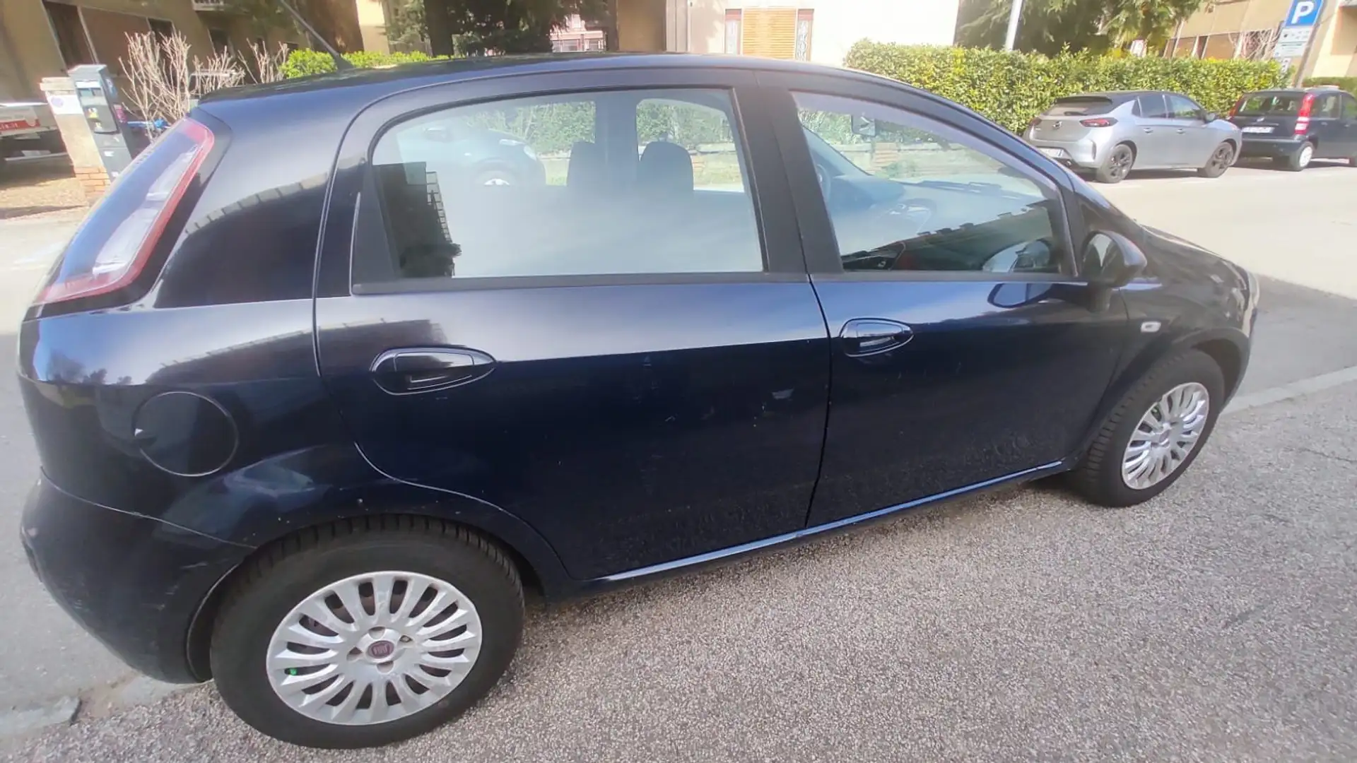 Fiat Punto Evo Punto Evo 5p 1.3 mjt MyLife s Blu/Azzurro - 2