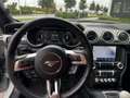 Ford Mustang Fastback 5.0 V8 Mach 1 460cv Manuale - thumbnail 8