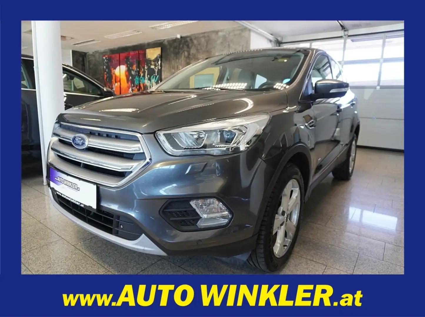 Ford Kuga 2.0 TDCi Titanium 4x4 Leder/Winterpaket Gris - 1