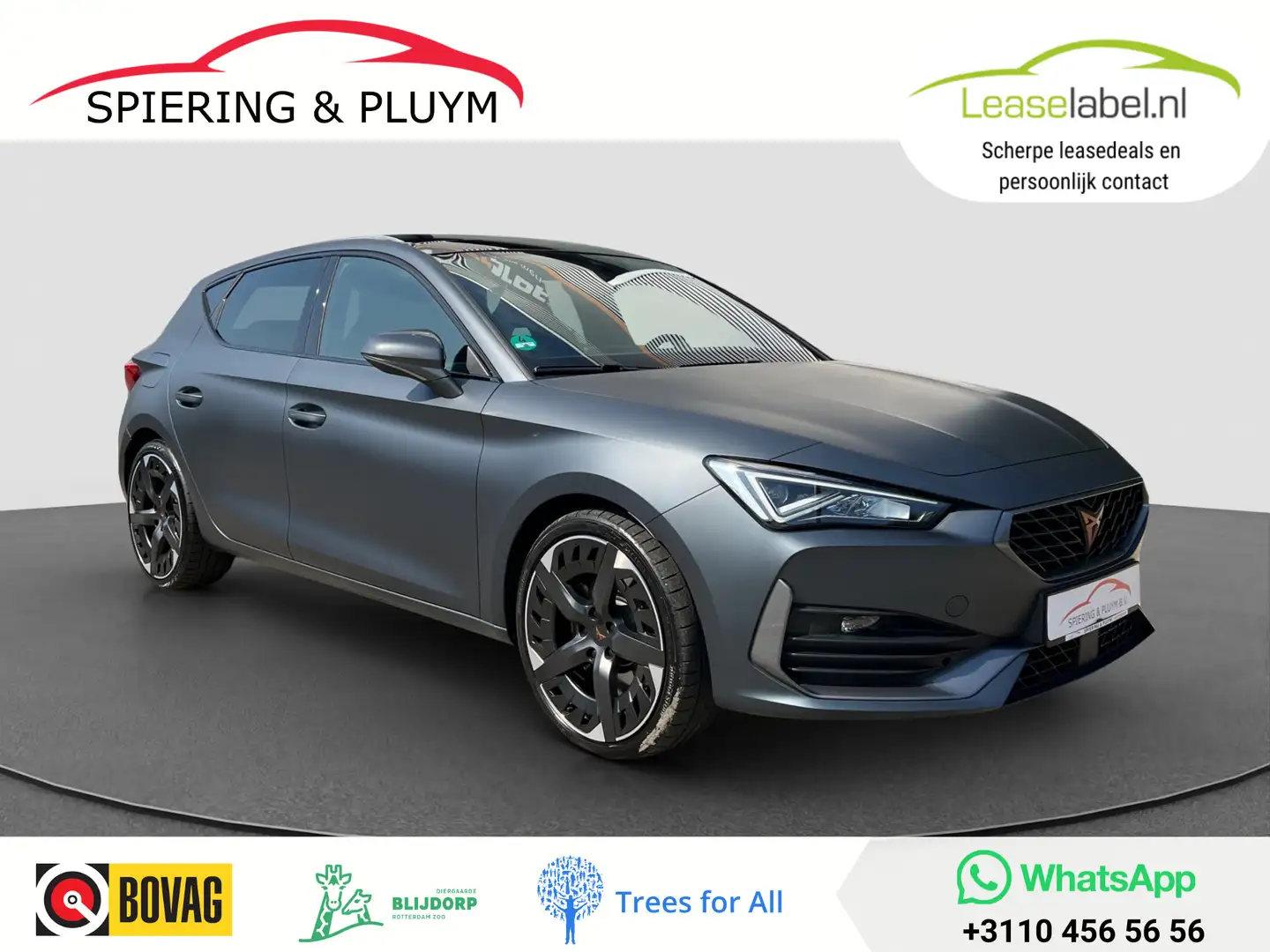 CUPRA Leon 1.4 VZ Performance | Matte | Pano | Navi | PDC Grijs - 1