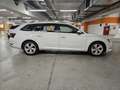 Skoda Superb Kombi 1,4 TSI ACT Style Weiß - thumbnail 4