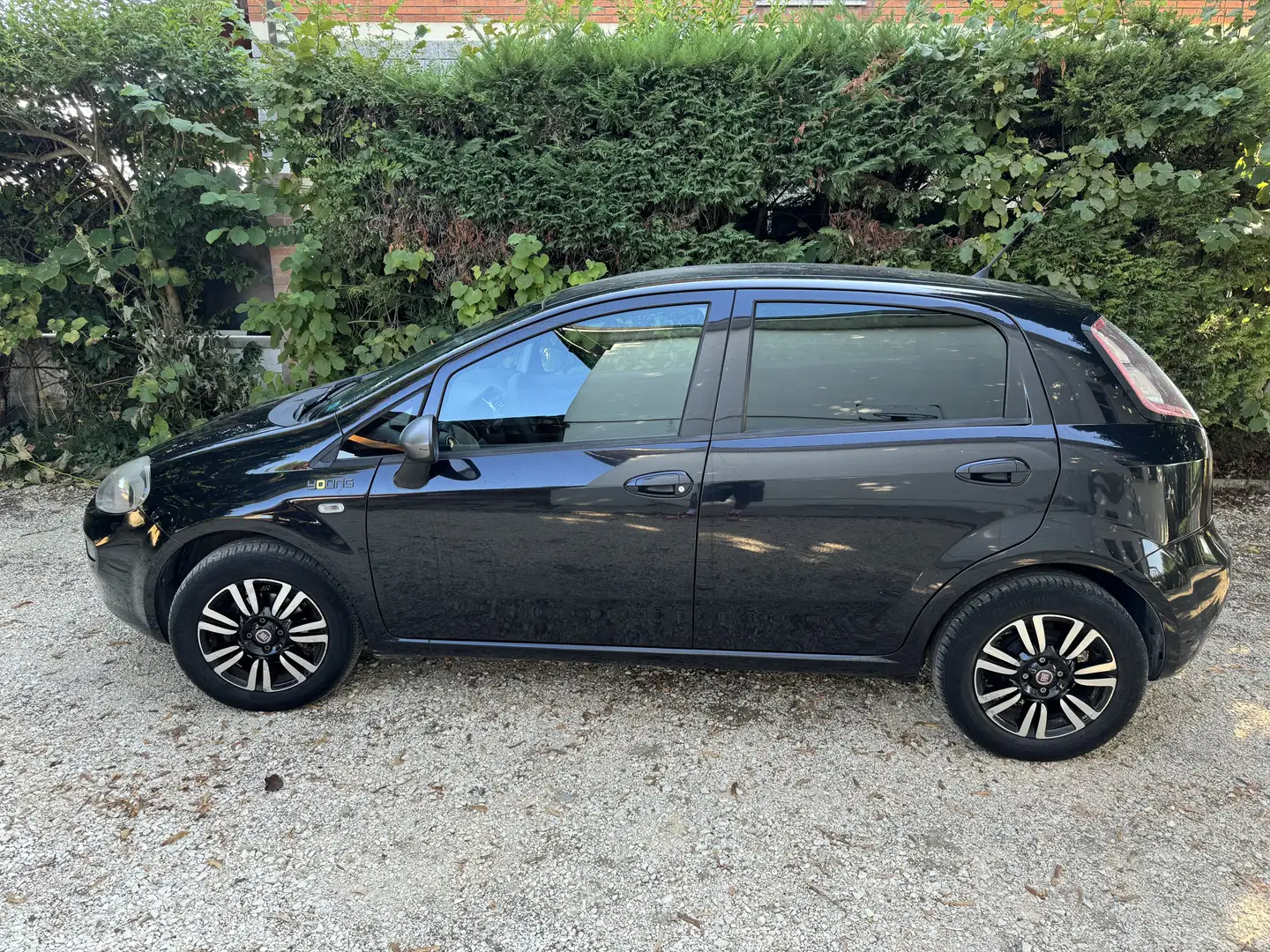 Fiat Punto 5p 1.2 Young per Neopatentati Nero - 1