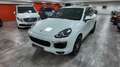 Porsche Cayenne Diesel Platinum Edition Aut. Blanco - thumbnail 1