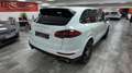 Porsche Cayenne Diesel Platinum Edition Aut. Blanco - thumbnail 6