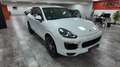 Porsche Cayenne Diesel Platinum Edition Aut. Blanco - thumbnail 8