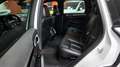 Porsche Cayenne Diesel Platinum Edition Aut. Blanco - thumbnail 41