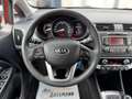 Kia Rio Spirit 1.4 CRDi Klimaauto. PDC SHZ Tüv 04.27 Rot - thumbnail 13